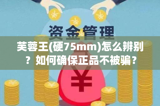 芙蓉王(硬75mm)怎么辨别？如何确保正品不被骗？